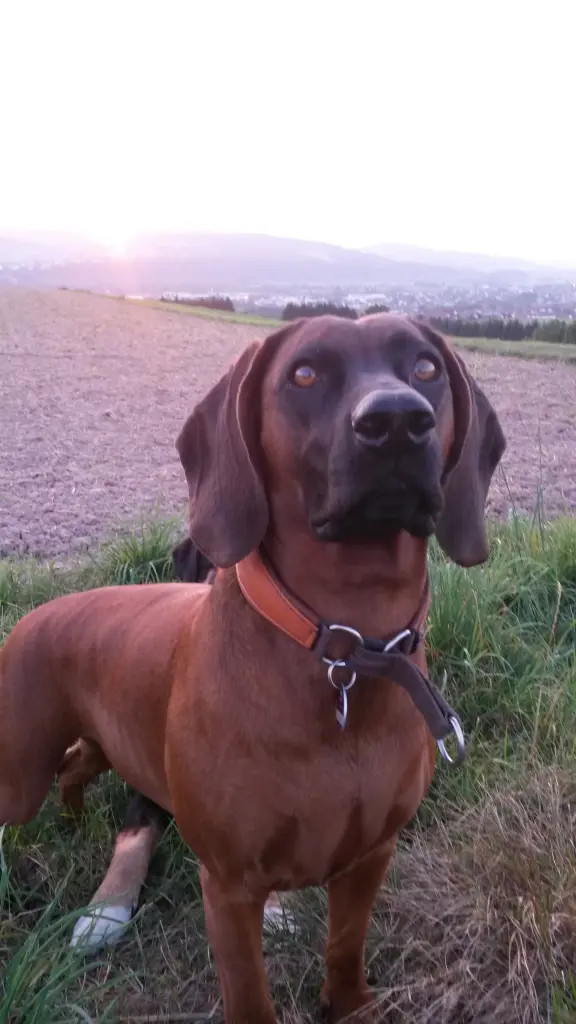 Image from Nora
