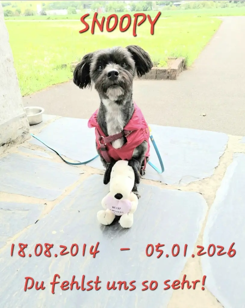Du fehlst!!! 💔