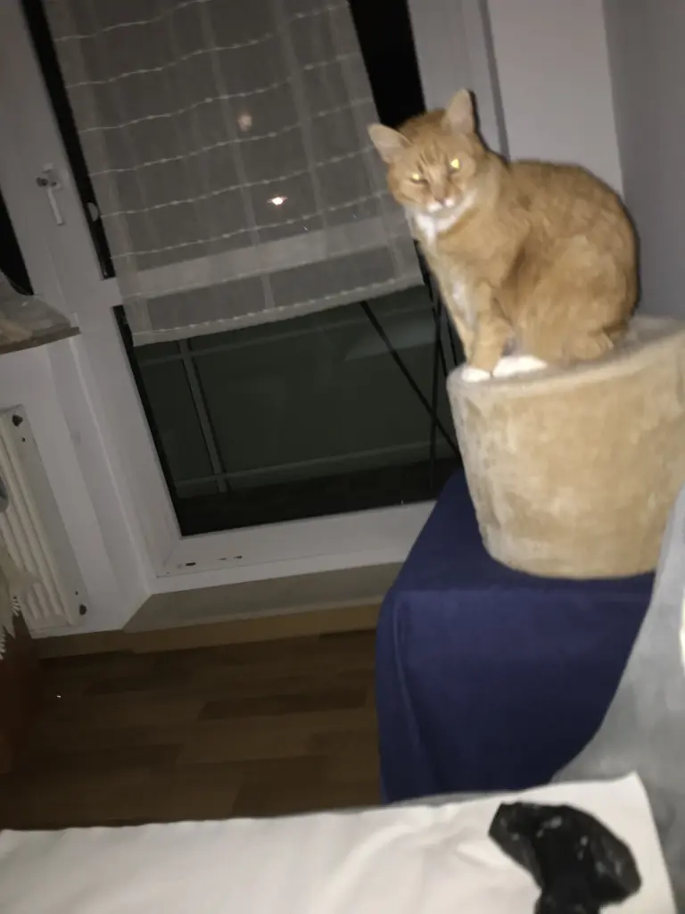 Image from Kessi