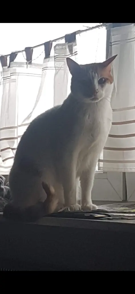 Condolence image of Tanja Nehiba