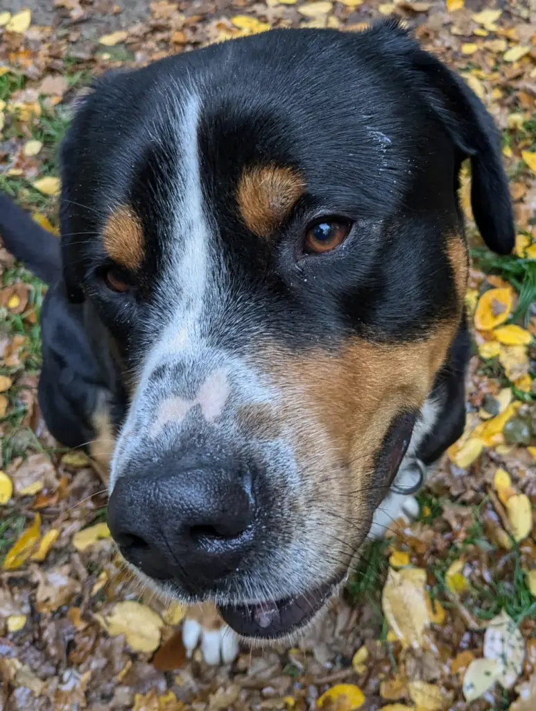 Der Blick sagt alles 😘