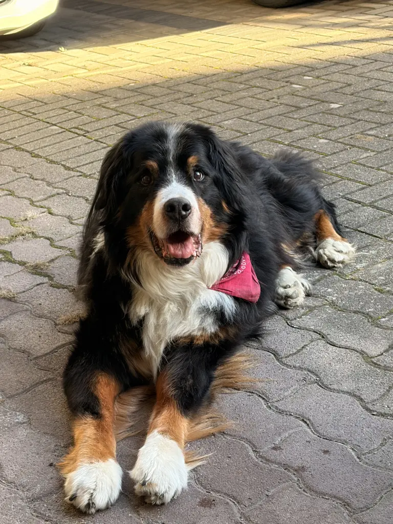 Dein letzter Tag, du hast noch einmal die Sonne genießen können