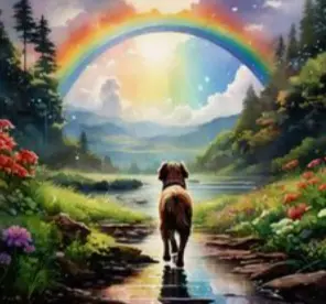 Condolence image of ✬🌈✬Anja mit ihren Sternchen✬🌈✬