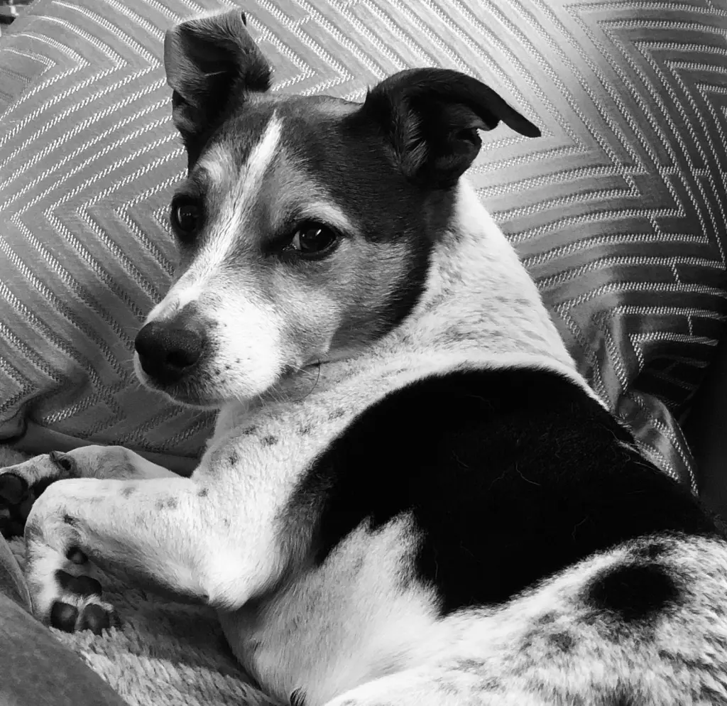 Image from Max