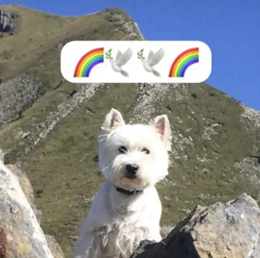 Condolence image of Siggi