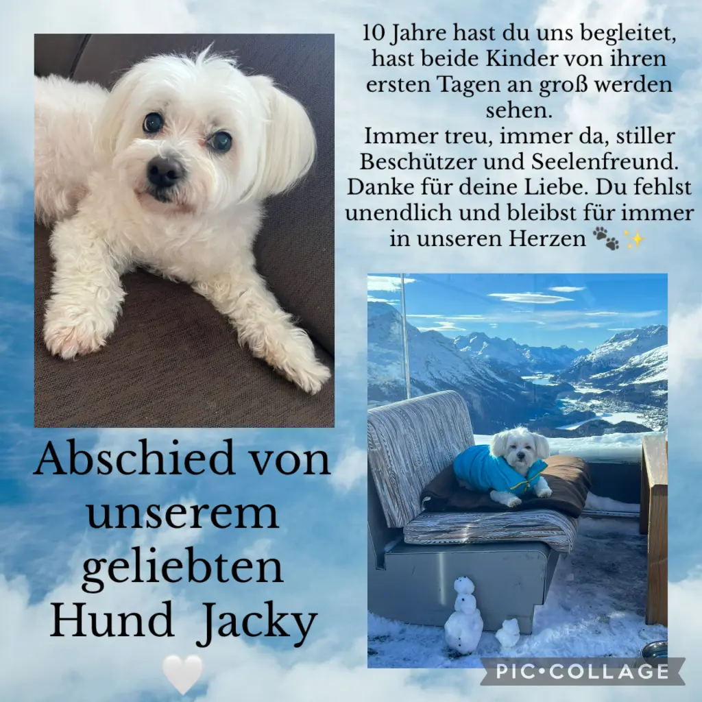 Bild von Jacky
