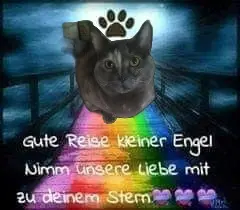 Image from Mäuschen