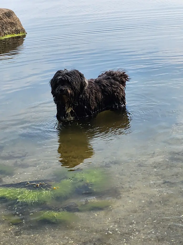Baden macht Spaß