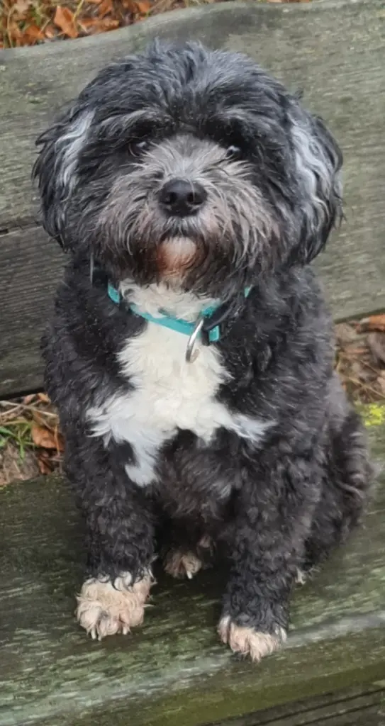 🥰