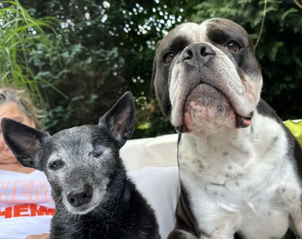 Condolence image of Monty mit Ted & Sina