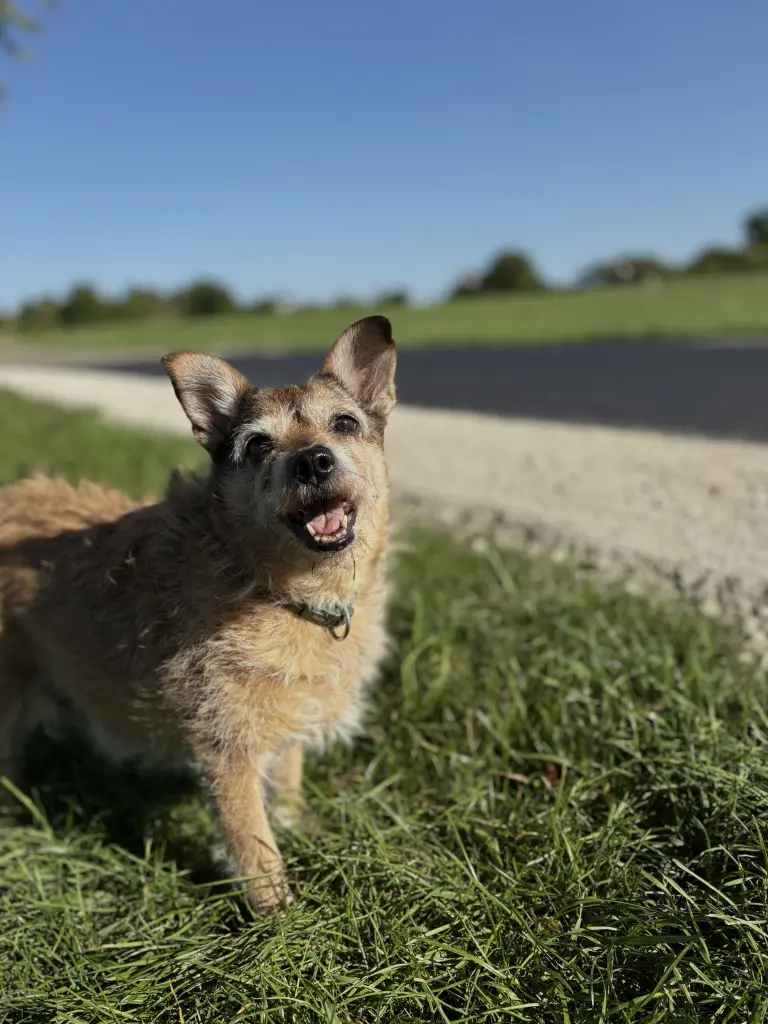 Condolence image of Andrea
