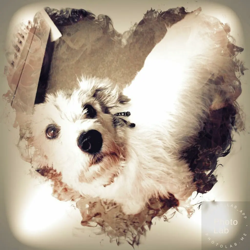 Condolence image of Melanie