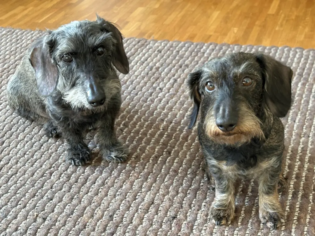 Andachtsbild von Katharina Orlob