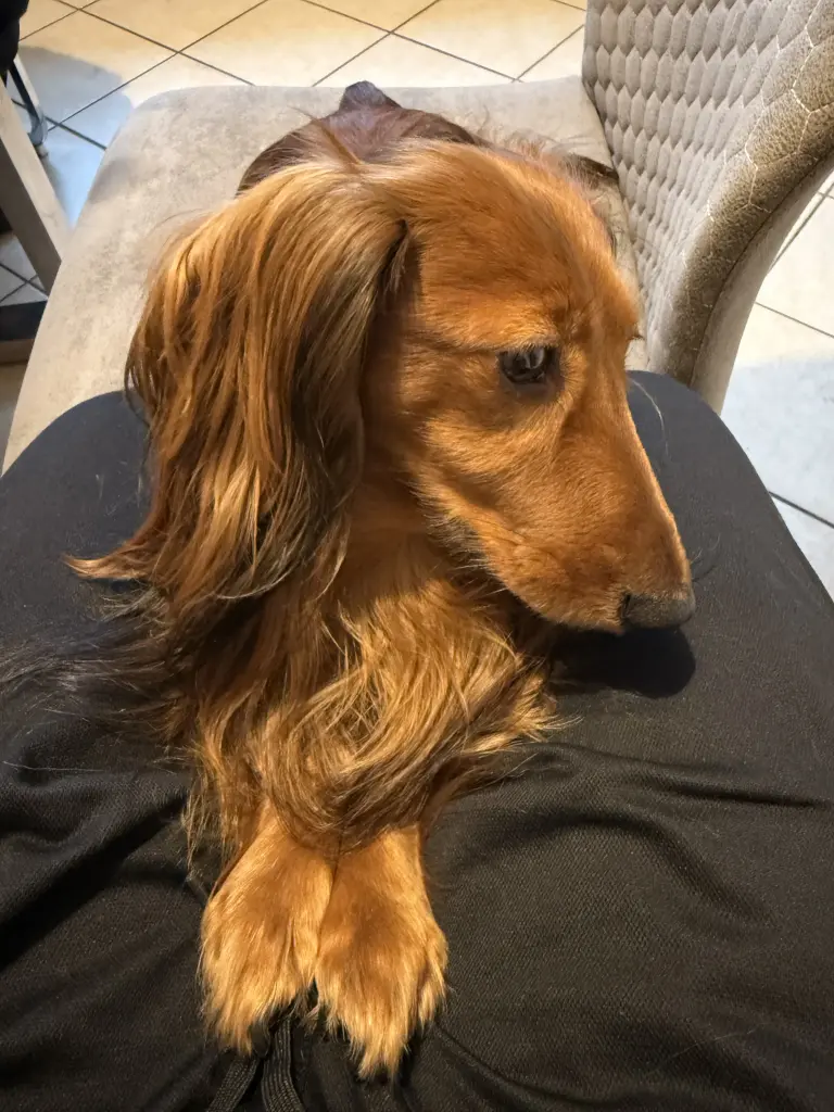 Andachtsbild von Nicole Leidgen