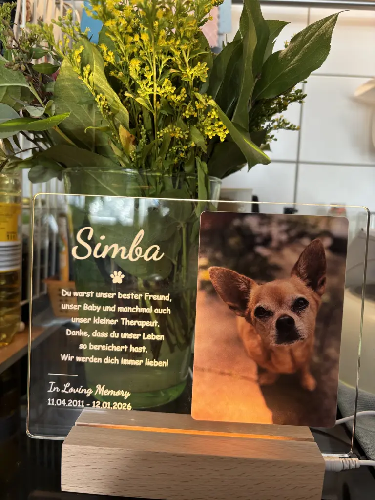 Image from Simba