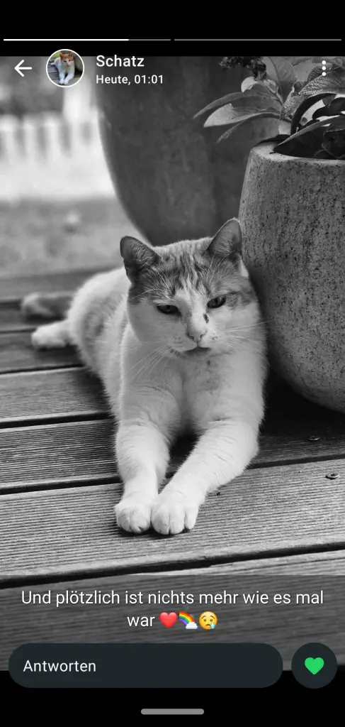Image from Piri