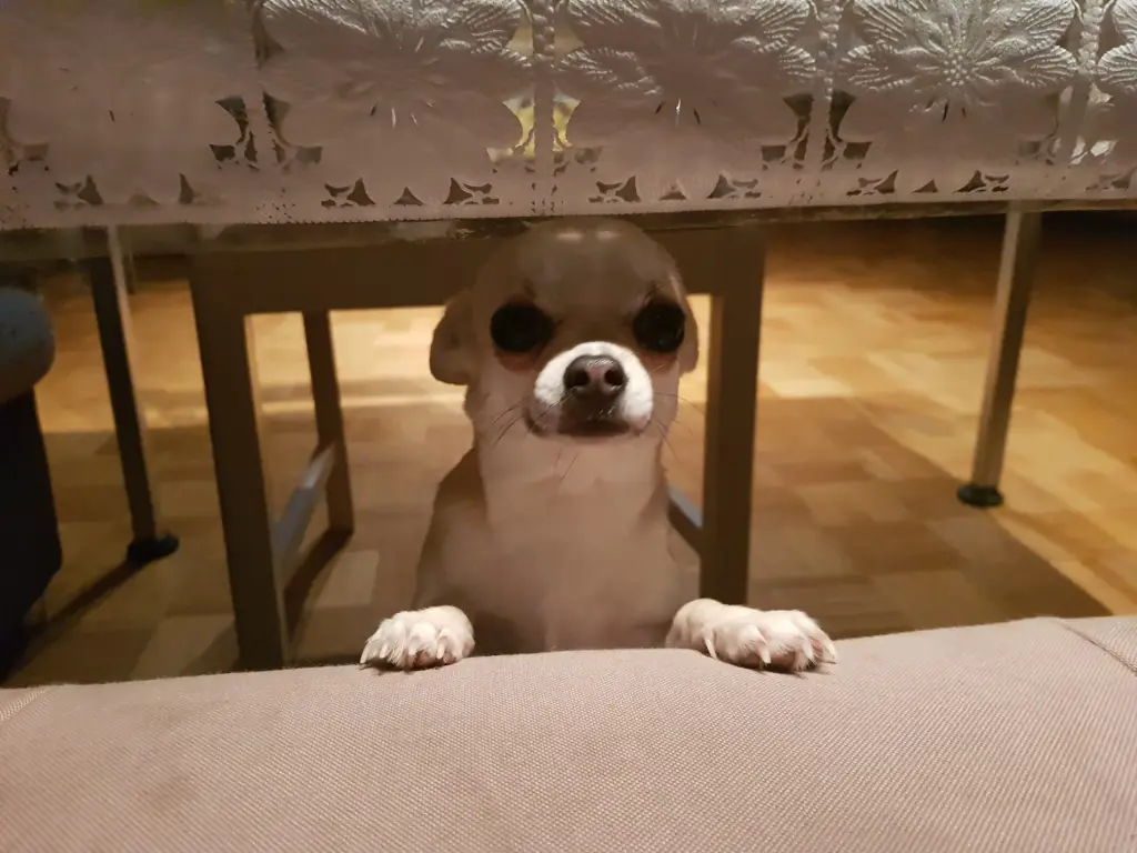 Erstes Mal in Deutschland