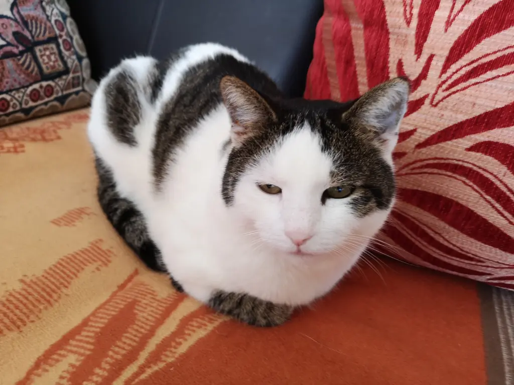 Andachtsbild von Irene