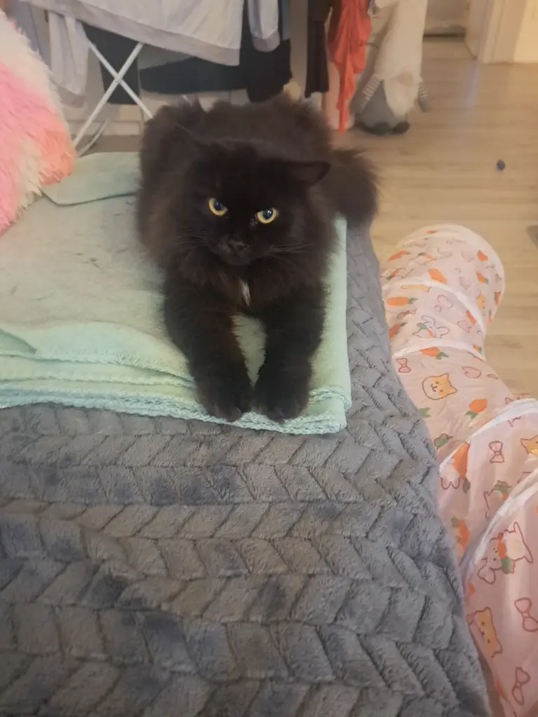 Guillermo aka Flauschi