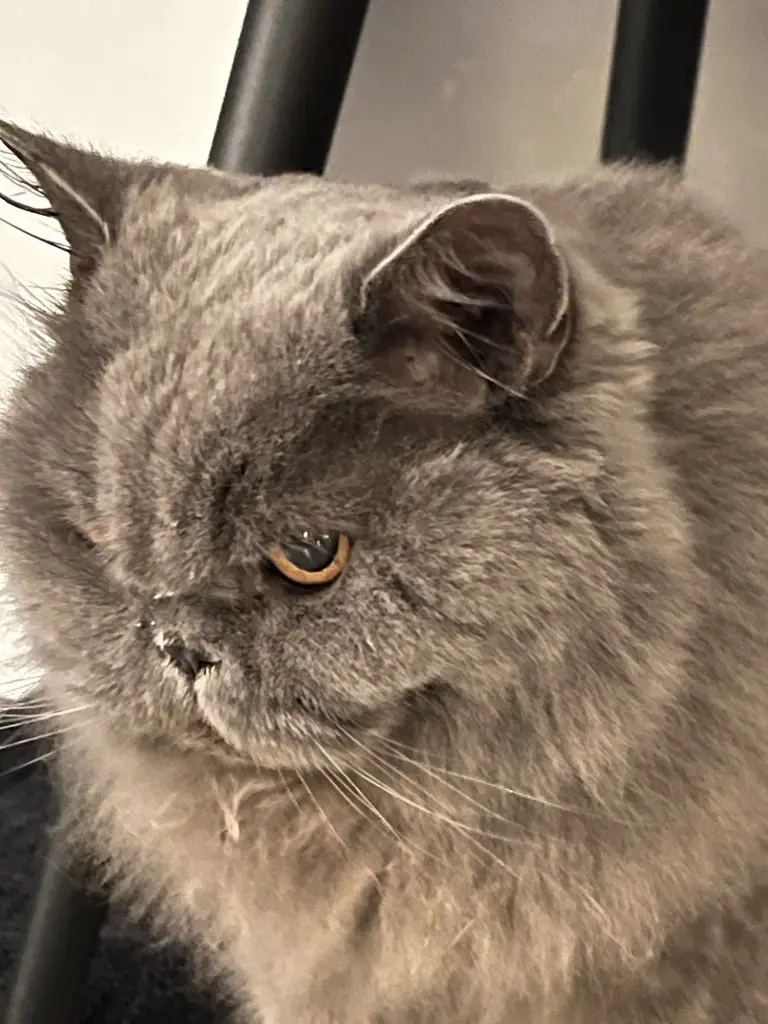 Condolence image of ursula