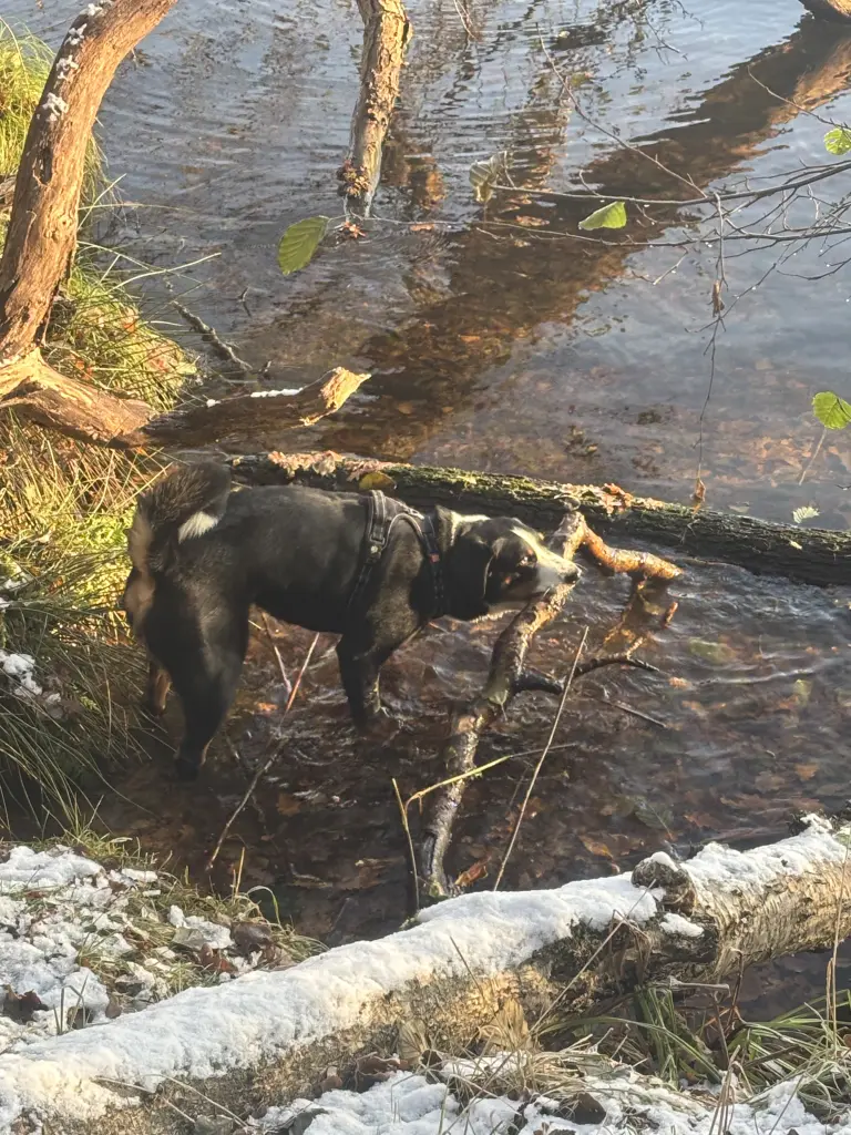 Lieblingsbeschäftigung