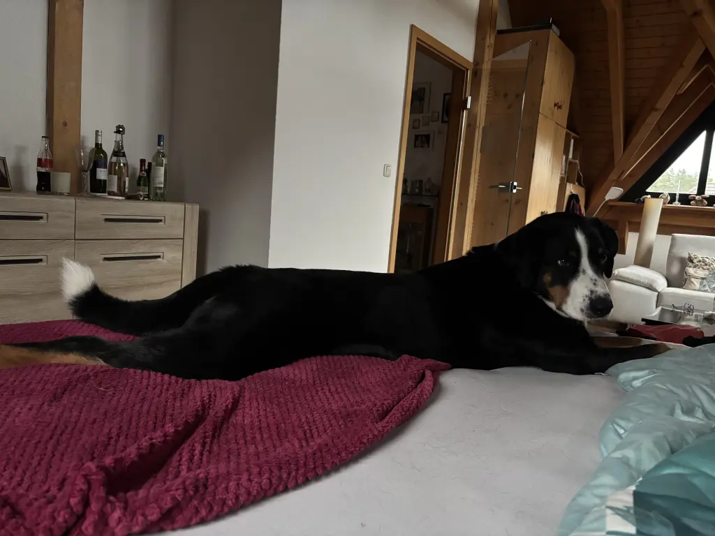 Ich mach mich mal lang