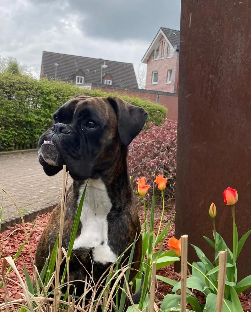 Du warst eine stolze Dame😍