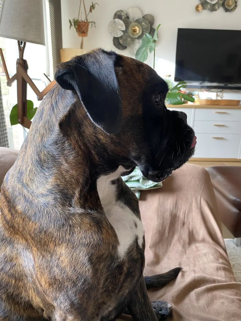 Immer hattest du alles im Blick😍