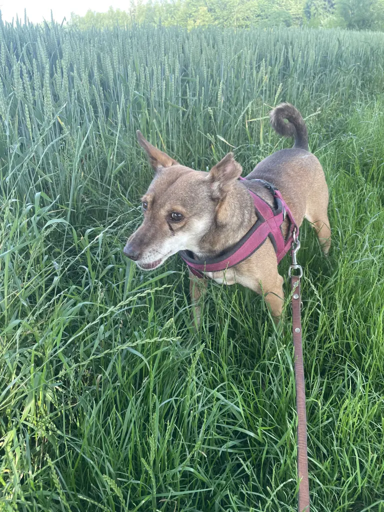 Andachtsbild von Adriane Vierhaus