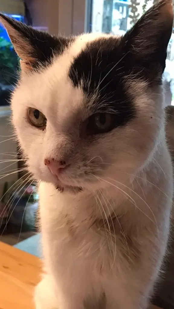 Condolence image of Jörn