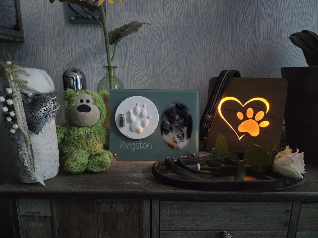 Mit 14 Jahren mussten wir dich leider gehen lassen