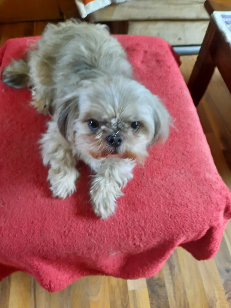 Andachtsbild von Simone Richard