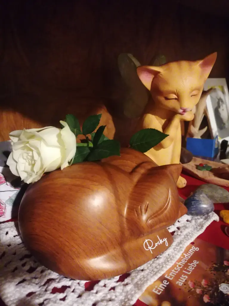 Zuhause 💞 🍀 🐾 🥰