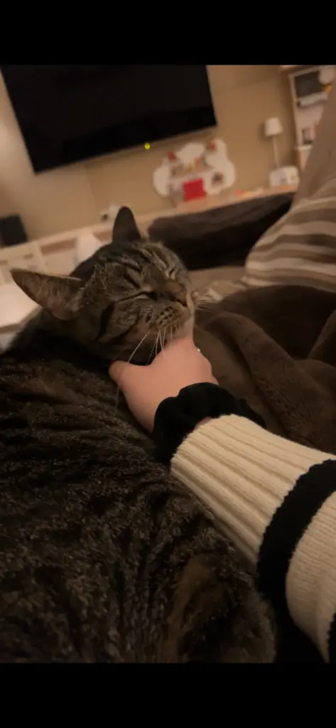 Andachtsbild von Tante Dana