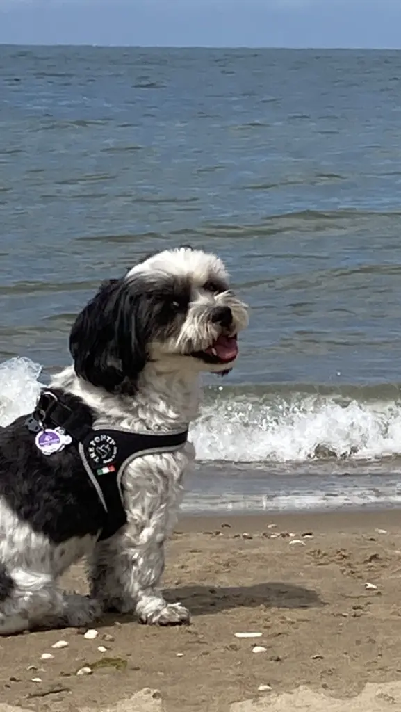 Jerry in Ouddorp in Holland.