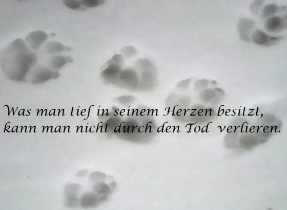 Andachtsbild von Steffi und Paco