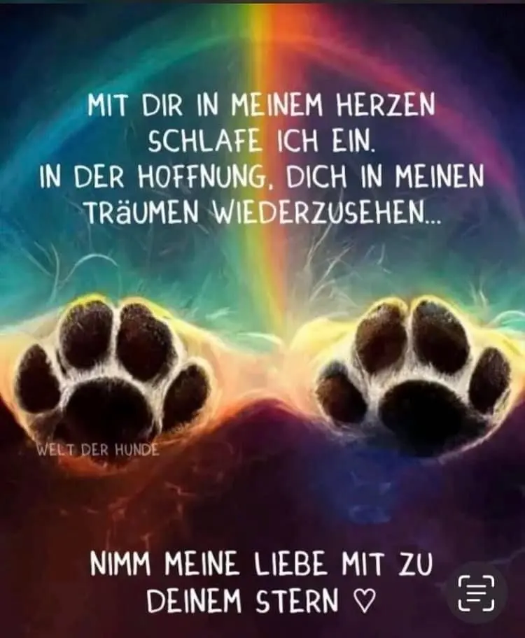 Condolence image of Konny mit Piccolino-Fly tief im ❤️