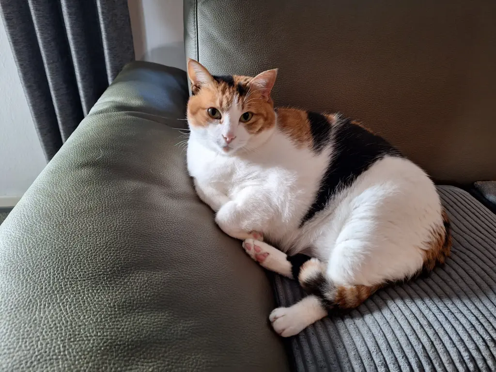 Condolence image of Bonnie