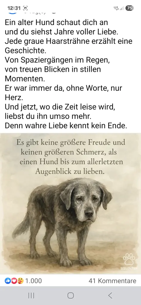 Condolence image of Martina, Rüdiger und Kaipi