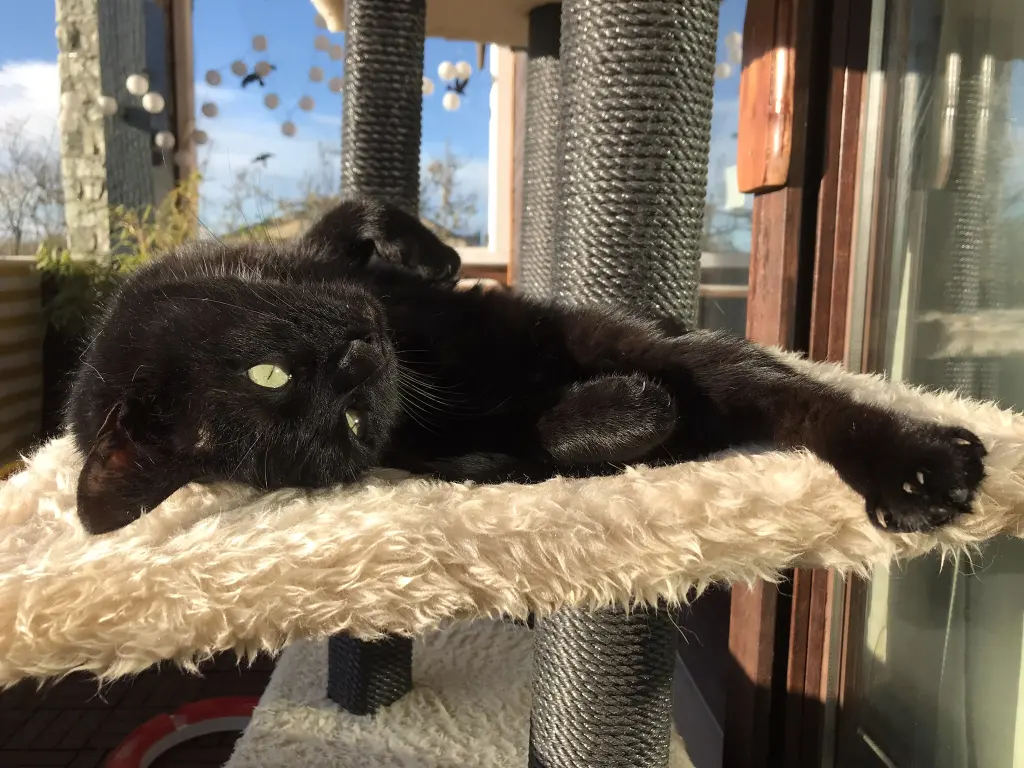 Den Balkon genießen