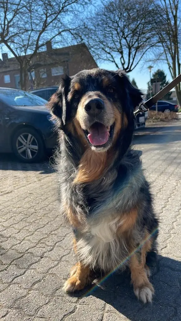 Bild von Chester Kumpelchen