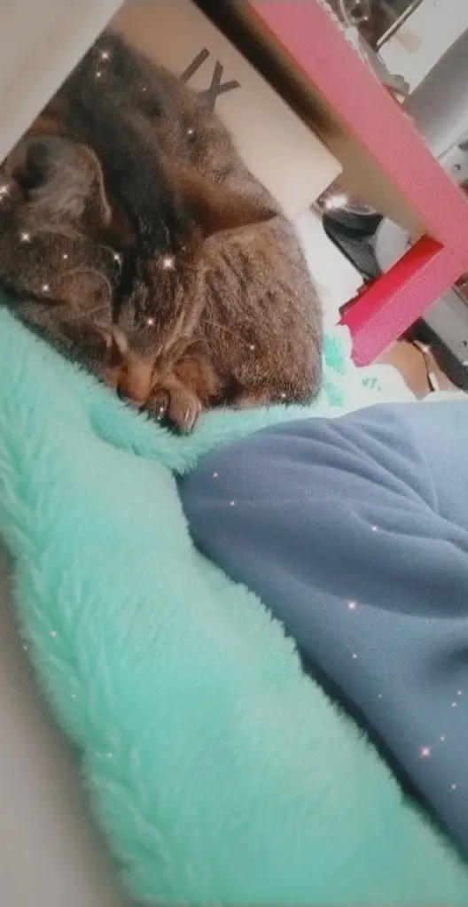 Andachtsbild von Lilly Strohn