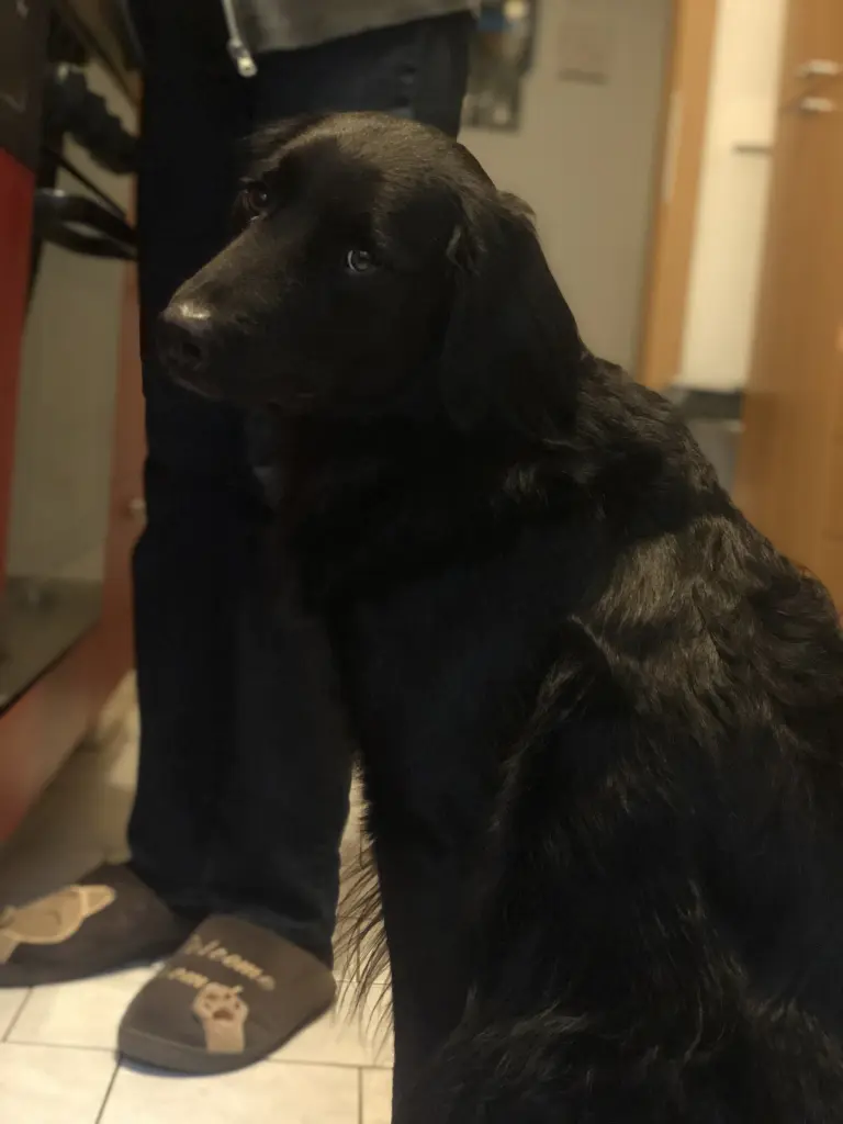 Andachtsbild von Sarah Wolf