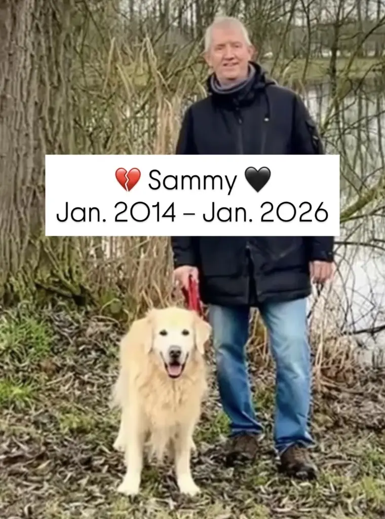 Image from Sammy