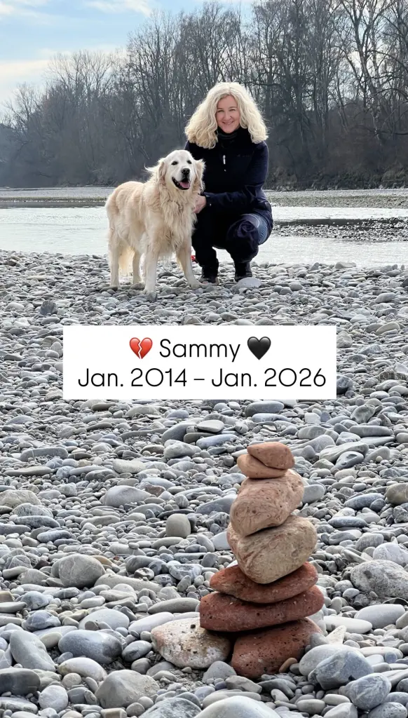 Image from Sammy