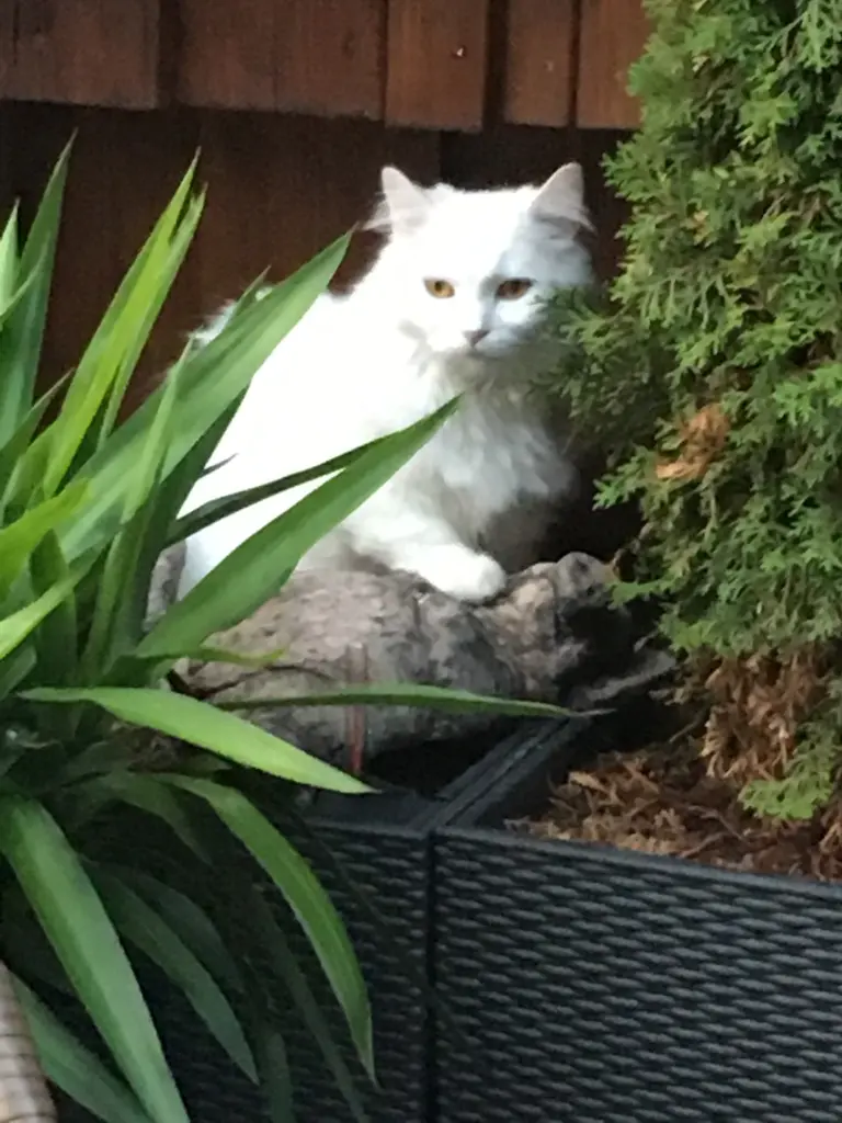 Image from Bilbo