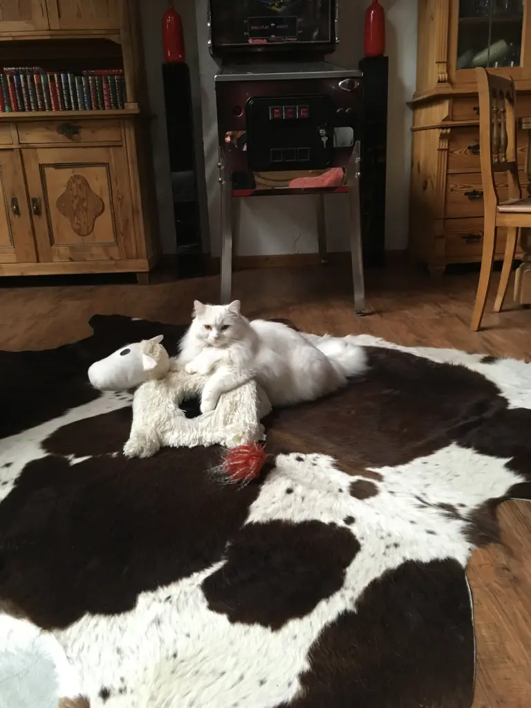 Image from Bilbo