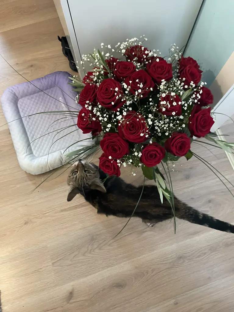 Condolence image of Laura