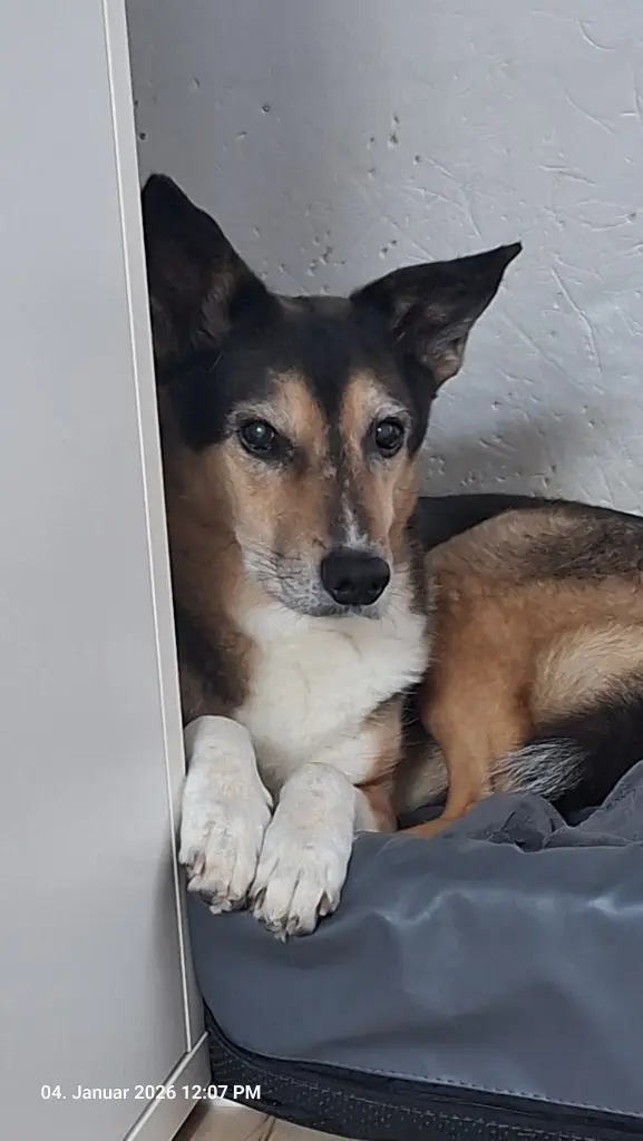 Image from Sky