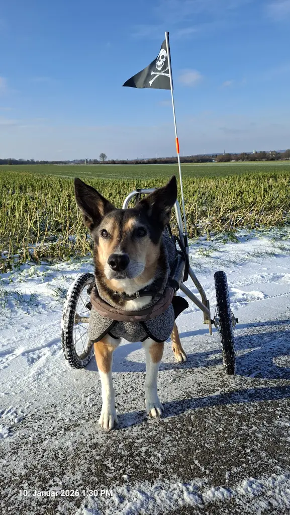 Das war unser letzter gemeinsamer Spaziergang🥹